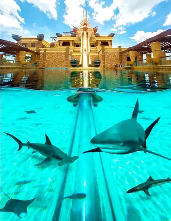 三亚3天2晚亚特兰蒂斯,三亚5天4晚亚特兰蒂斯酒店双人游