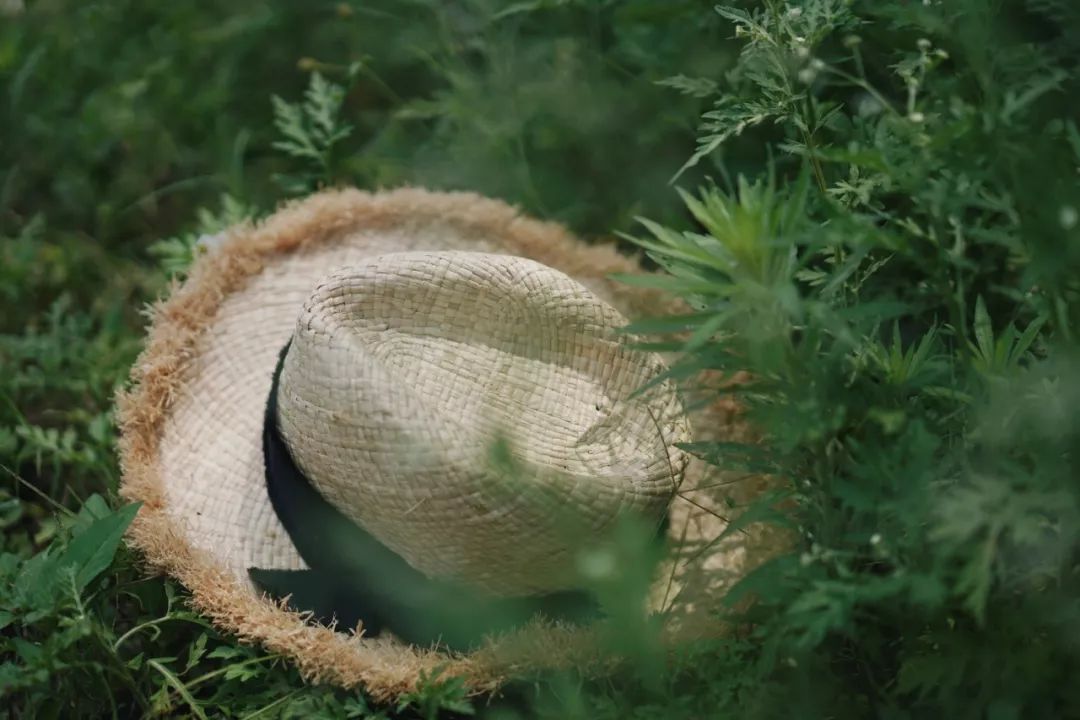 厦门有哪些拍照好看的地方,厦门十大拍照地方