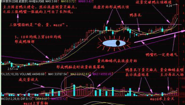 超级大牛选股公式大全,成功率很高的30分钟选股公式