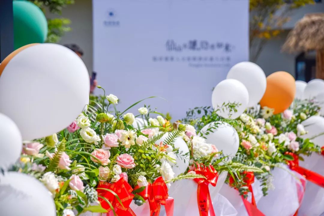 隐居蓬莱旅游酒店推荐,烟台市隐居蓬莱人文度假酒店