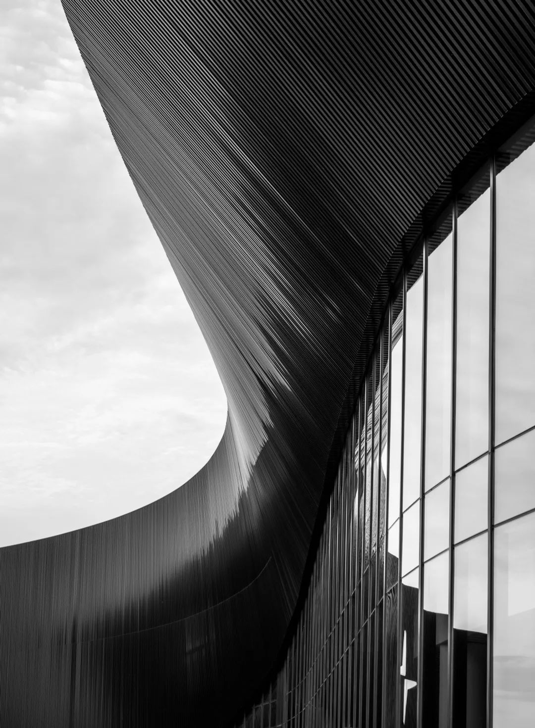 星启未来文化传媒邛崃,星启未来设计展示