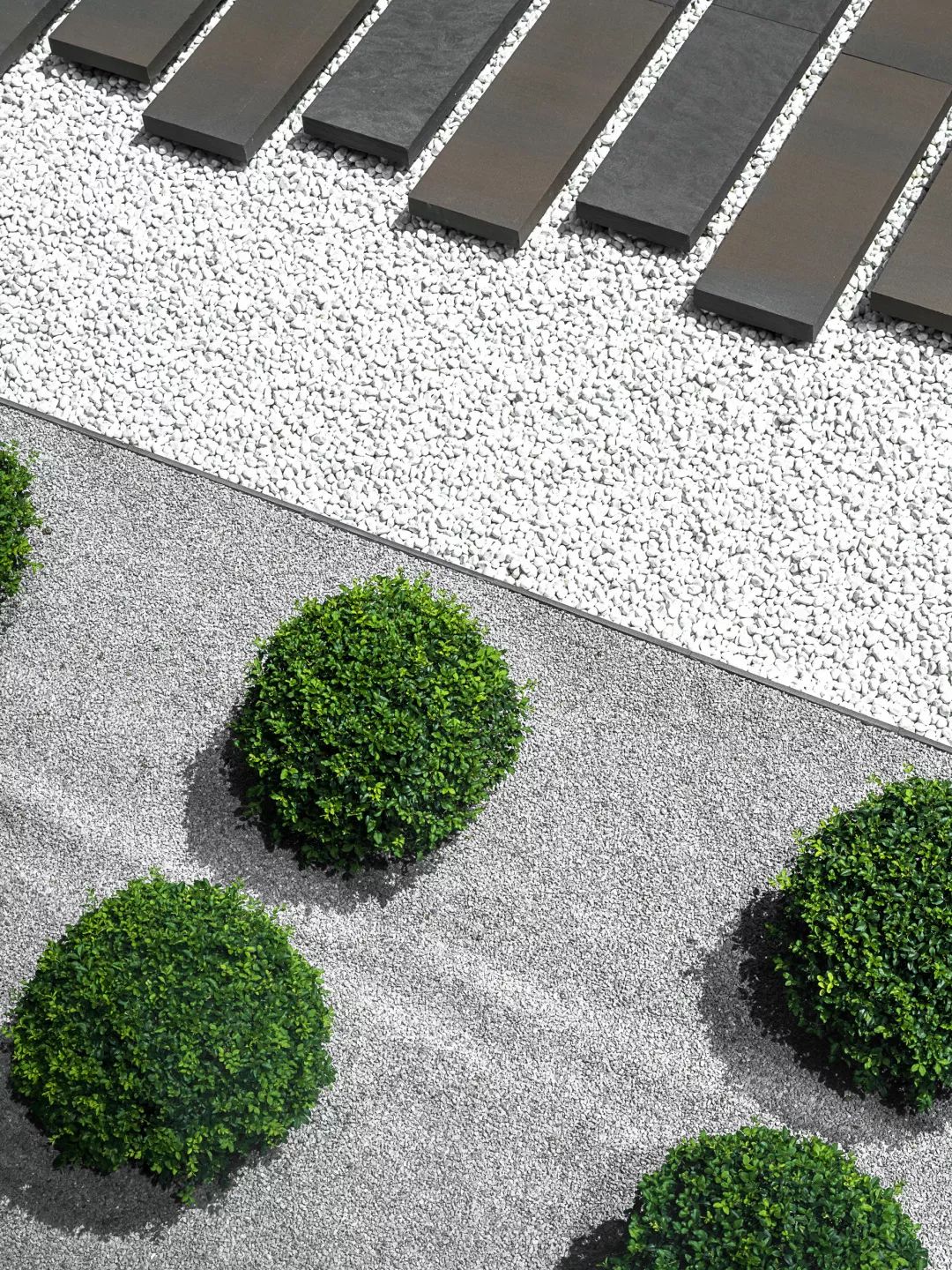 星启未来文化传媒邛崃,星启未来设计展示