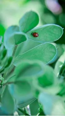 夏天夏天悄悄过去，留下……东大夏末定制“特饮”！