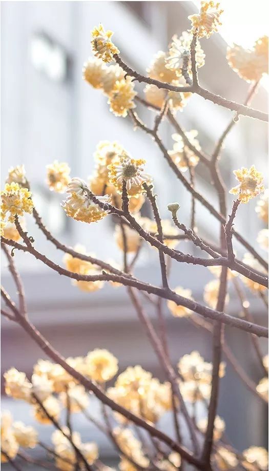 夏天夏天悄悄过去，留下……东大夏末定制“特饮”！