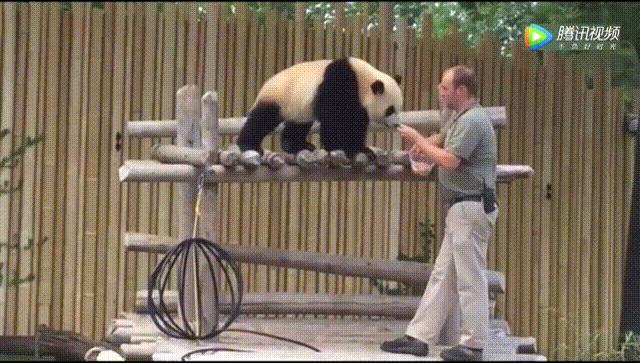 解压陀螺成人全金属,成人解压陀螺翻滚