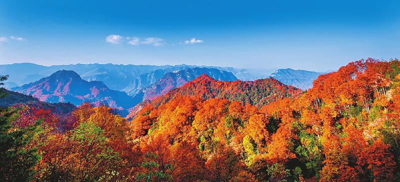 奋力绘就炎陵高质量发展新画卷,奋力绘就