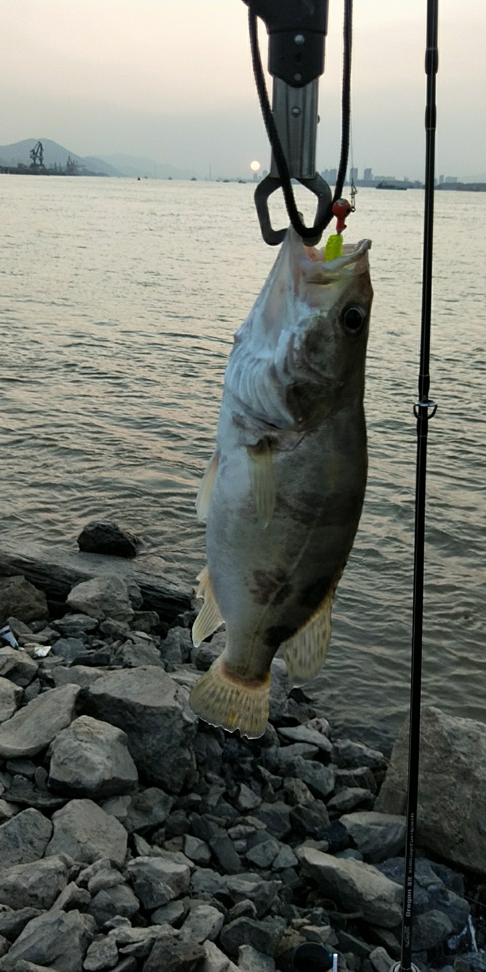 小白长江边路亚表演，现场练习绑8字环