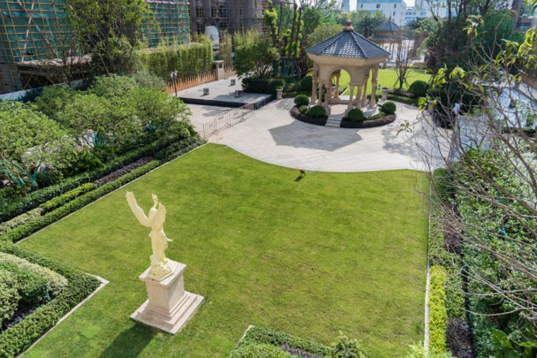 寮哄娍宕涜捣,鍗楁槍寮哄娍宕涜捣