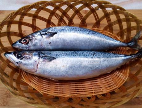 鱼中窦娥：口感不比鲤鱼差，就是买不上高价，心里苦