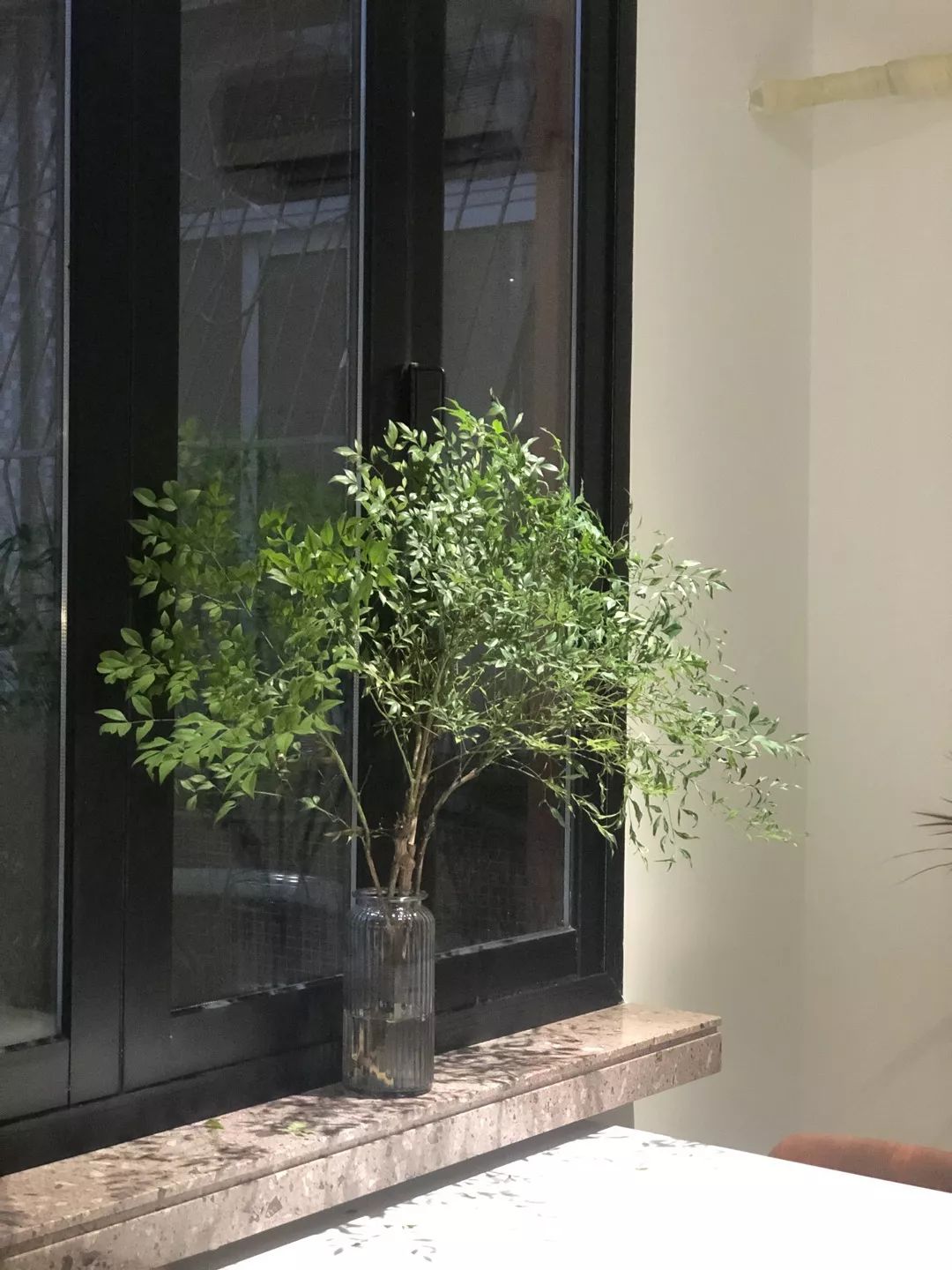 汕头|闹市取静,院子里飘出来虹吸的咖啡香气