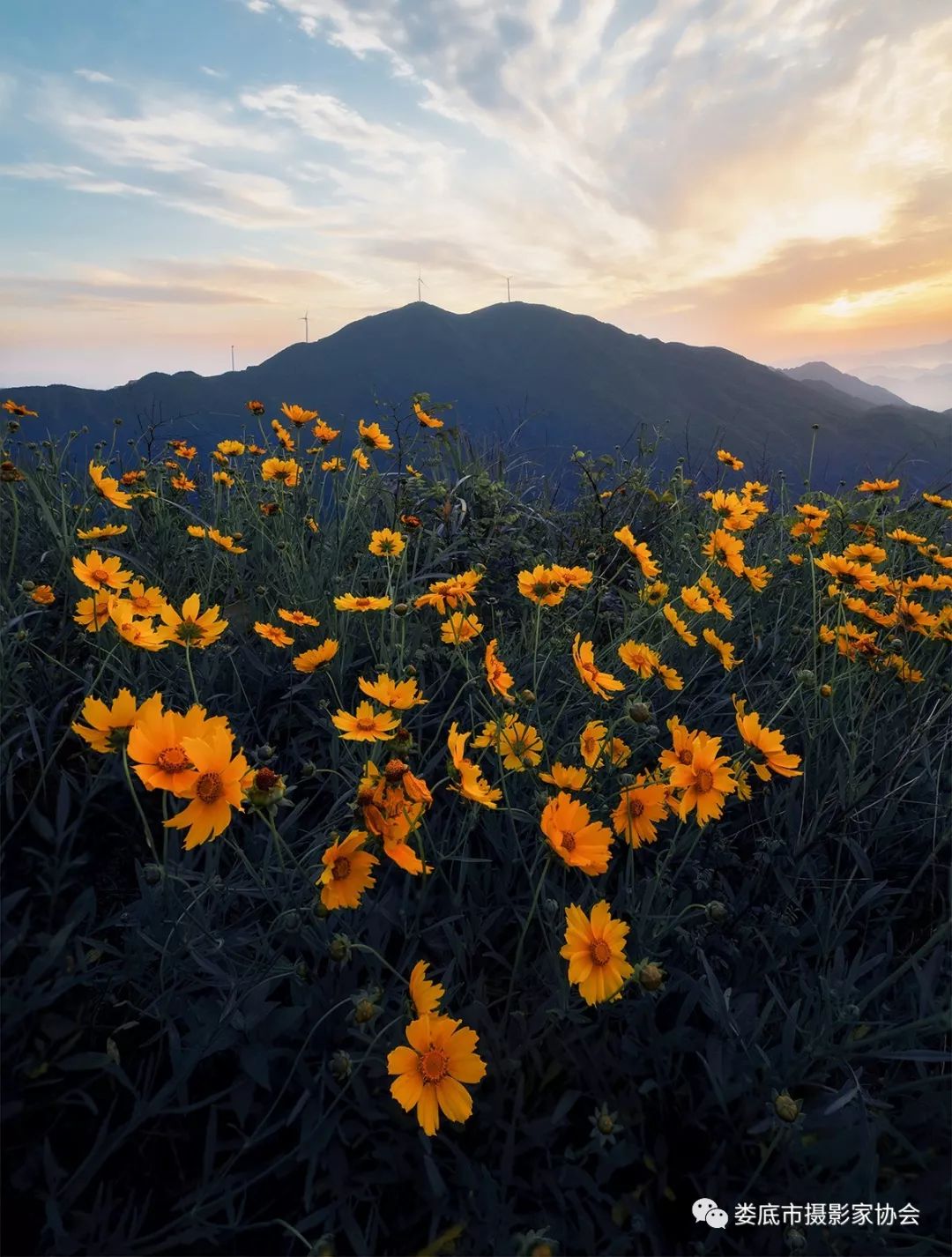 生态娄底美丽家园——【壮丽70年奋斗新时代】娄底首届风光摄影作品展览生态小品作品选登