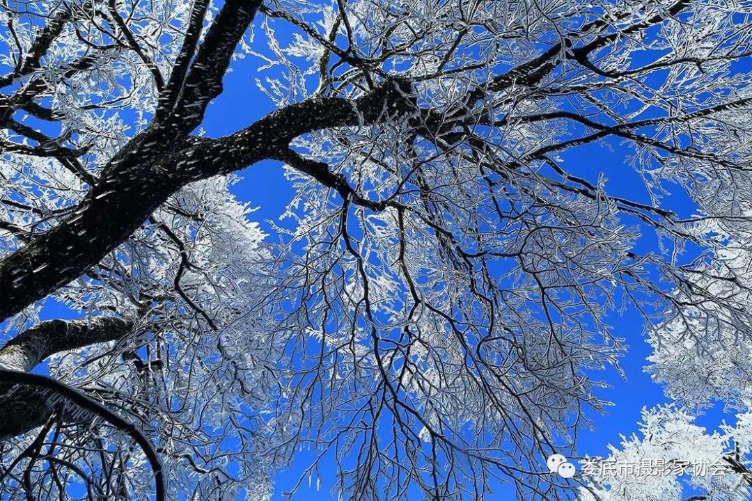 生态娄底美丽家园——【壮丽70年奋斗新时代】娄底首届风光摄影作品展览生态小品作品选登