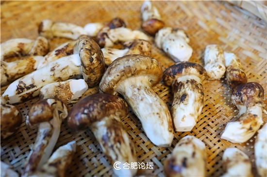 合肥美食私房菜,合肥私房菜美食推荐