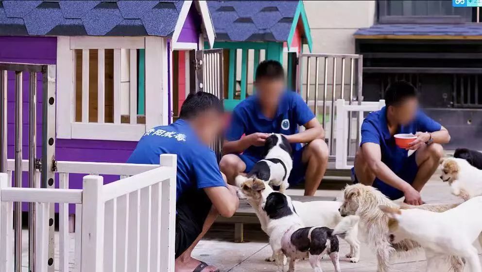 贵阳市三江强制隔离戒毒所官网,贵阳市第一强制隔离戒毒所四大队