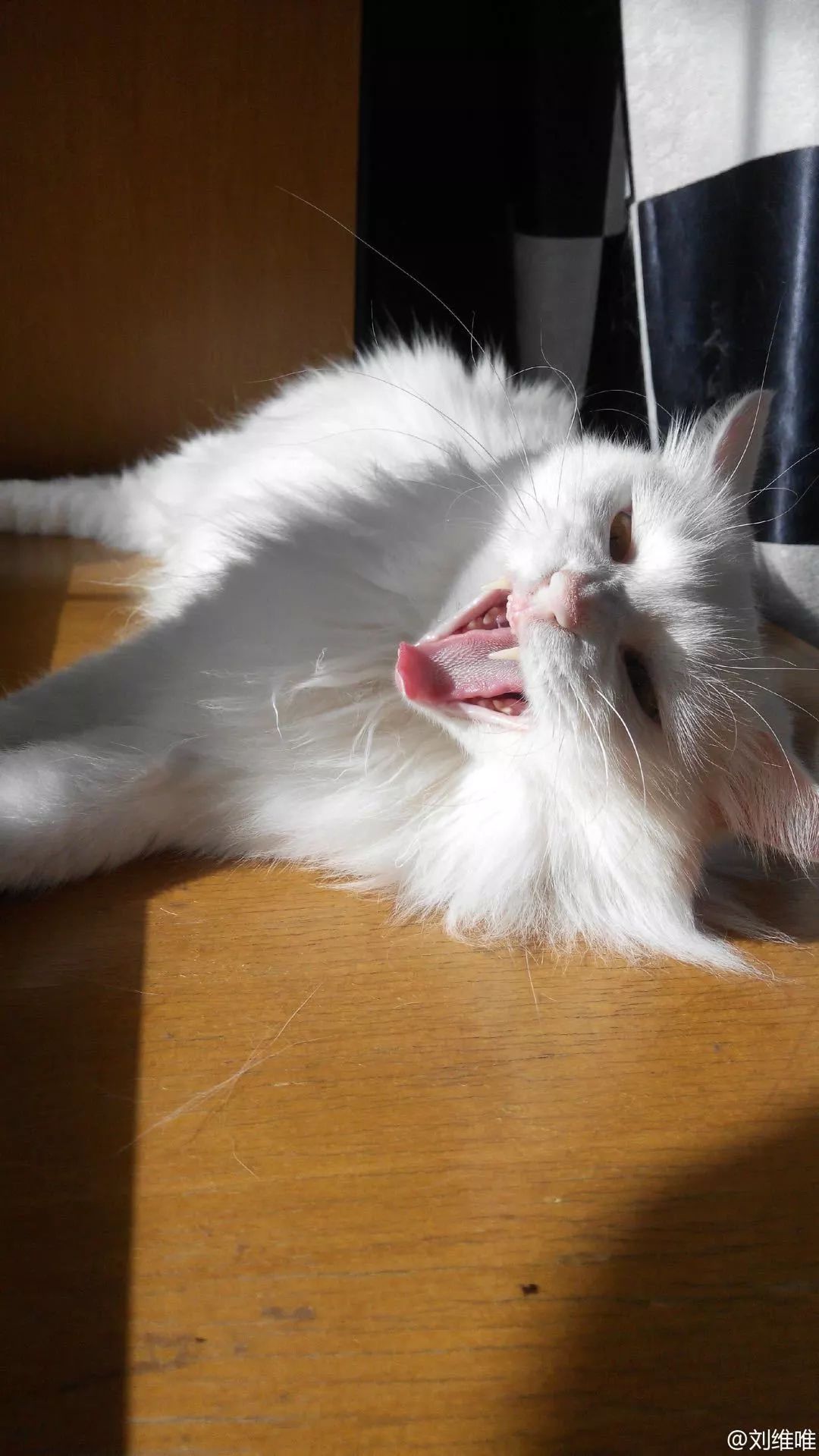 为什么有人喜欢编辑部的故事,编辑部的故事怎么说得那么有道理