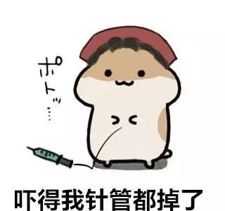 妇产医疗科普,妇产超声科普类视频