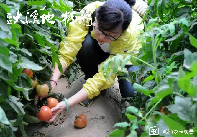 蓝石大溪地的房子值得买吗,蓝石大溪地最新房价