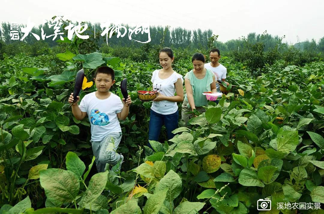 蓝石大溪地的房子值得买吗,蓝石大溪地最新房价