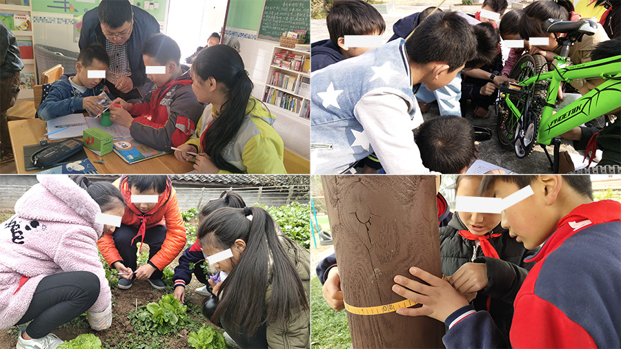乡村小学为何学生越来越少,农村小学的优势与不足