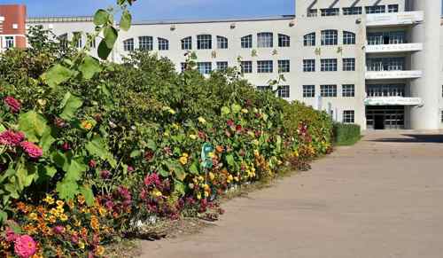 鍚戦槼灏忓绮惧姛鎶ュ浗,涓嶅繕鍒濆績鍚戦槼涓