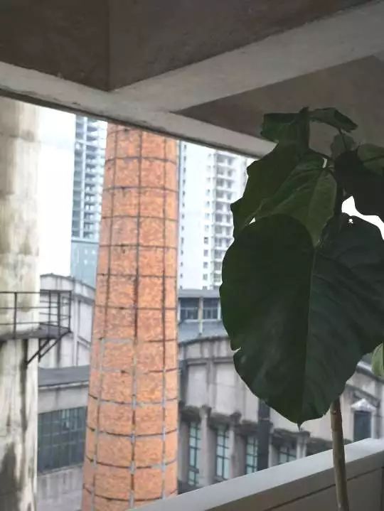 报告！东郊记忆的咖啡馆要抢我的钱