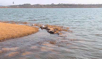 长沙这些公园颜值超高你去过几个,长沙最值得去的公园排名一览表