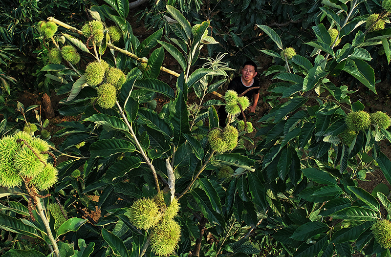 大河之北完整版视频,大河之北原唱完整版