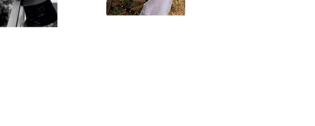 秦舒培介绍自己,秦舒培是一个怎样的人