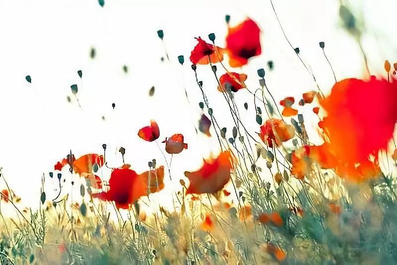 自我提升的最佳方法,自我提升的方法