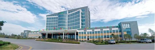 金锣生猪屠宰标准化,金锣屠宰标准