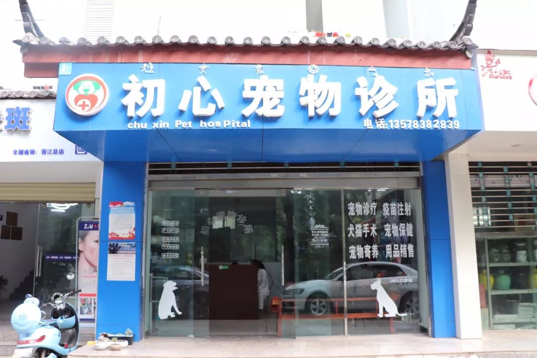 丽江宠物基地,丽江最好的宠物医院