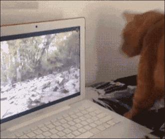 每天都有几千人坐着飞机迫不及待的赶去被骗