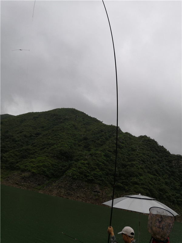 左手大鲤右手大翘我的鱼获超给力