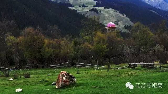 笔尖思路抒怀昭苏丨优秀作品展《夏塔怀想》