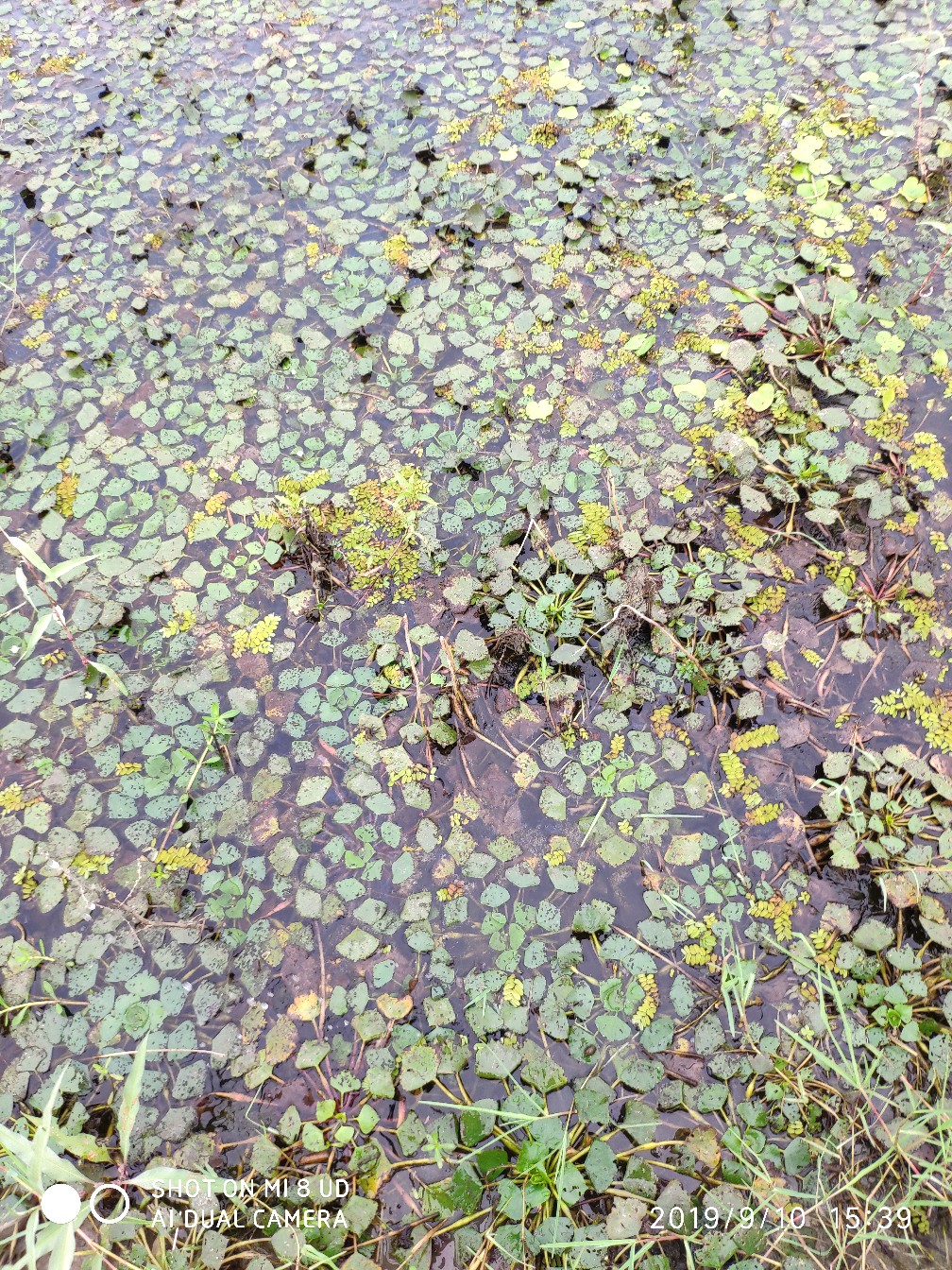 鼓轮经常爆线是什么原因,鼓轮爆线怎么办