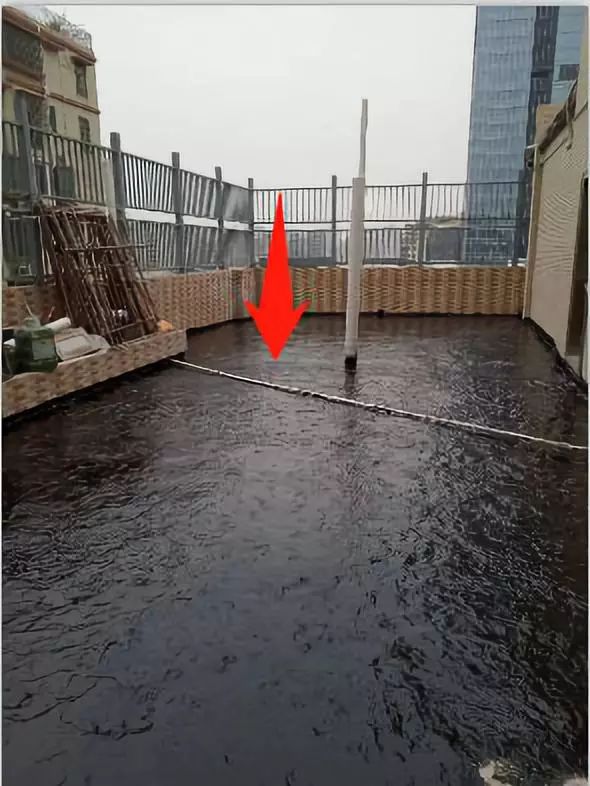 预防登革热时刻在行动,科普清理小积水防控登革热