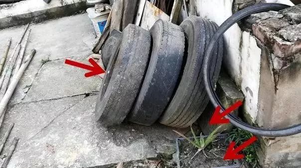 预防登革热时刻在行动,科普清理小积水防控登革热