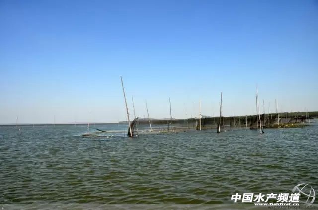 21年大闸蟹最佳食用时间,史上最全的大闸蟹食用指南