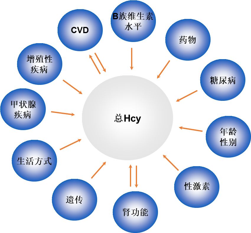 健康评价新指标,健康指标大全详解