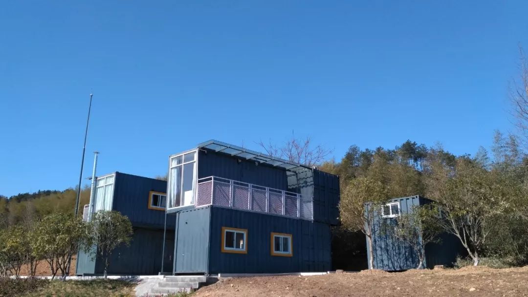 丁磊什么时候开始养猪,丁磊养的猪是什么品种