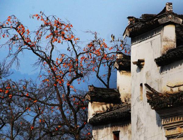 鍗佷竴鍋囨湡濠烘簮鏃呮父鏀荤暐,濠烘簮鍗佷竴鏈堜唤鏃呮父鏀荤暐