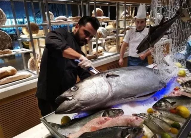 迪拜最有钱女人,迪拜和哪个国家关系好