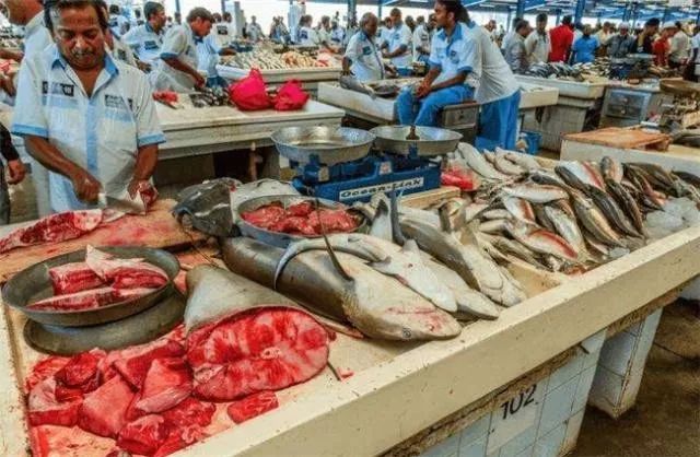 迪拜最有钱女人,迪拜和哪个国家关系好