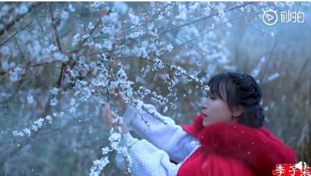 中国最美李子柒,最美村姑李子柒