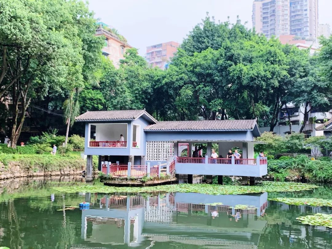 沙坪坝有哪些免费公园,沙坪坝公园推荐