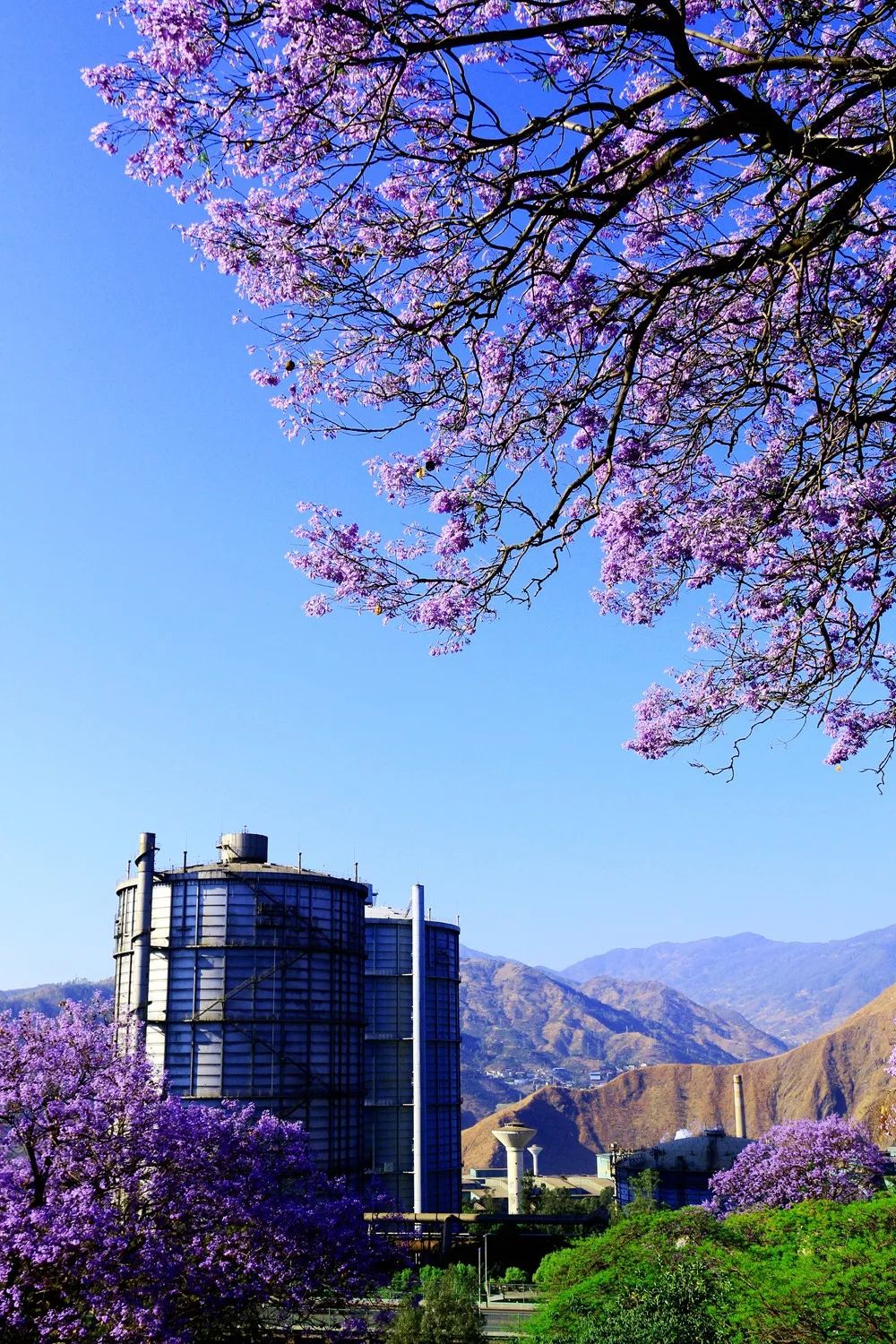 壮丽70年奋斗新时代的相关资料,攀钢发展历程