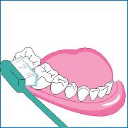 牙到底横着刷还是竖着刷,刷漆横着刷还是竖着刷