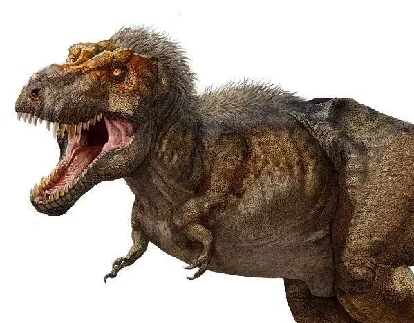 PNSO×化学工业出版社恐龙文创产品摩点众筹上线：寻找消失的恐龙，就是寻找消逝的童年