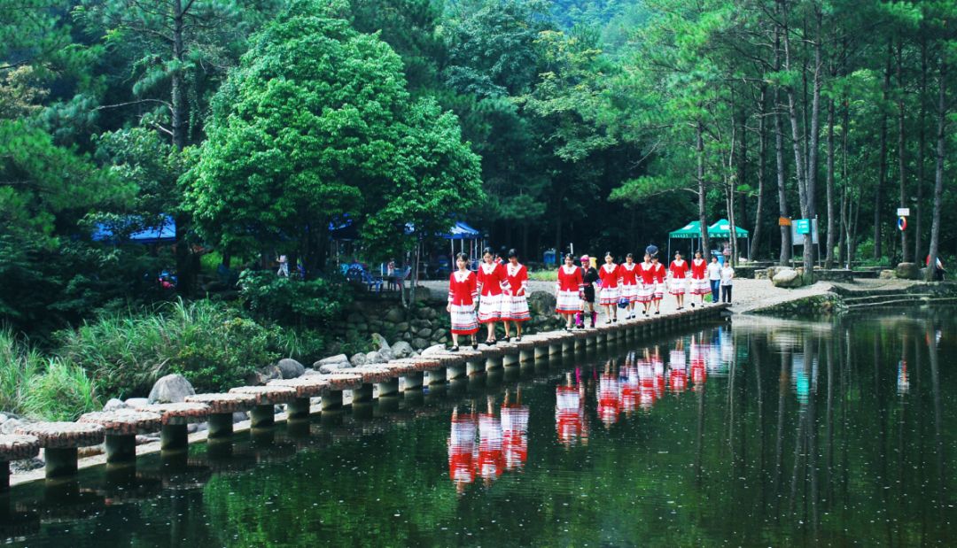 带你看防城港的美景,关于防城港风景的诗句