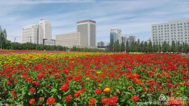 我的鄂尔多斯电视连续剧片段,我的鄂尔多斯原唱